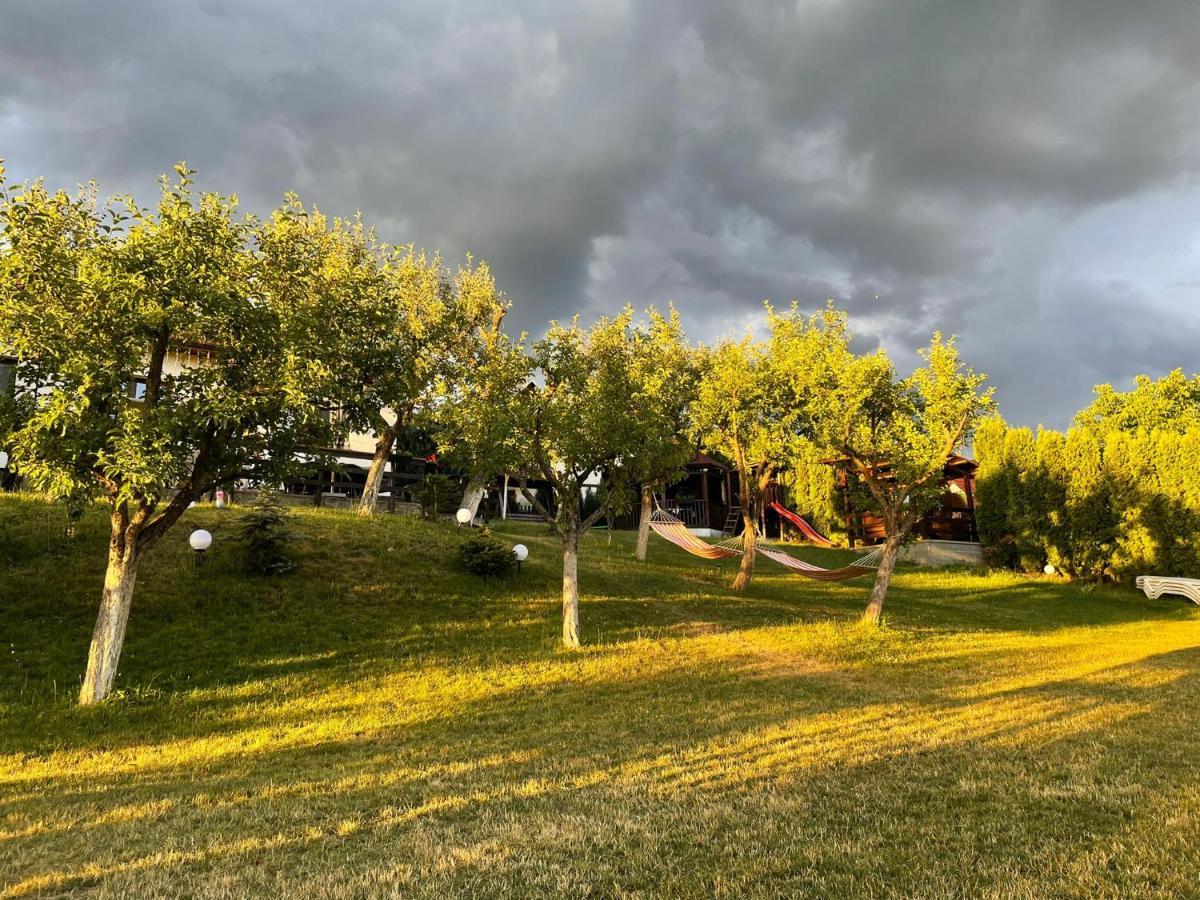 Cazare Colibita Casa Lipan Exterior foto