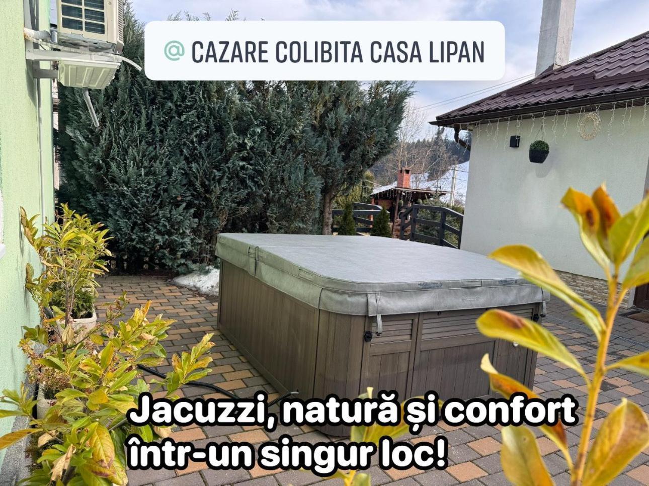 Cazare Colibita Casa Lipan Exterior foto